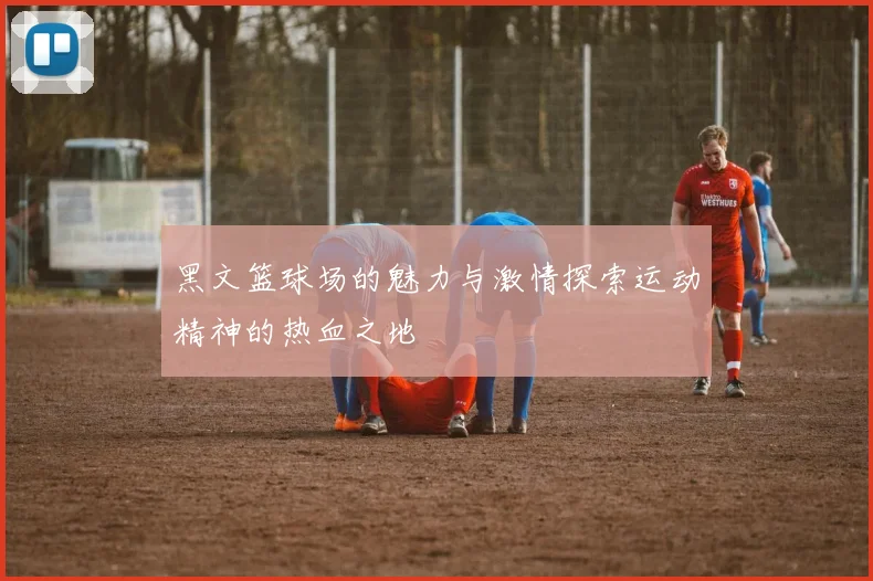 黑文篮球场的魅力与激情探索运动精神的热血之地