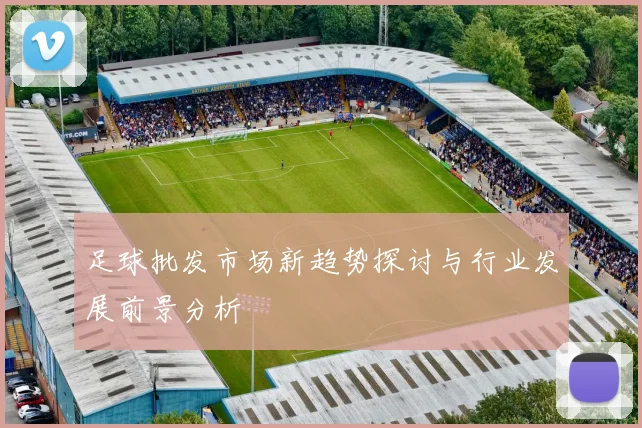 足球批发市场新趋势探讨与行业发展前景分析